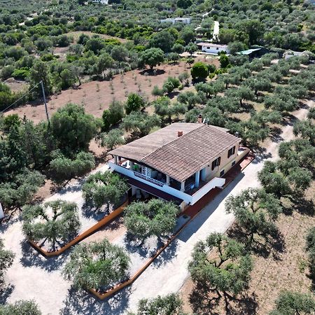 Апартаменты Rustico Degli Ulivi Орозеи Экстерьер фото
