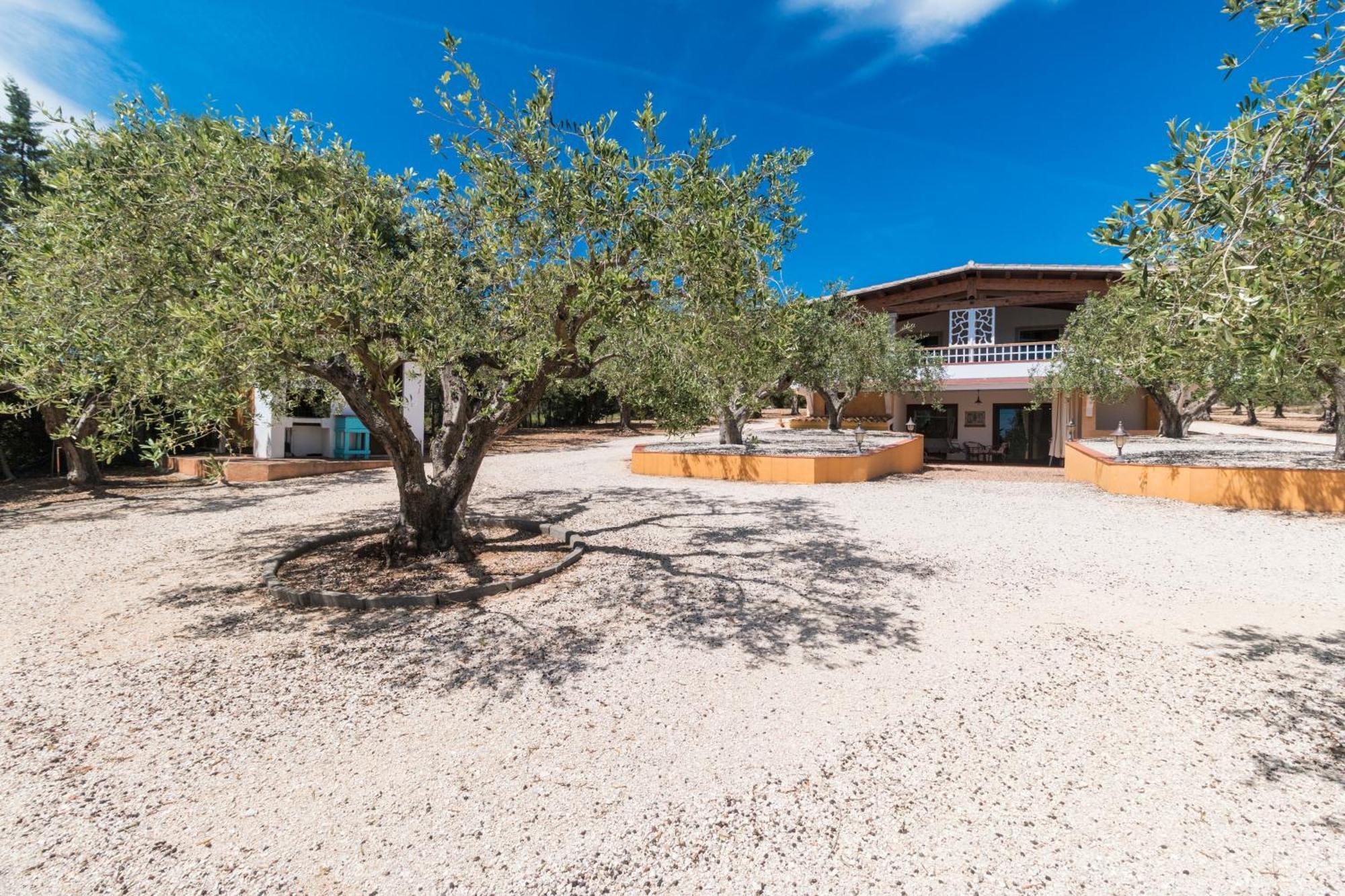 Апартаменты Rustico Degli Ulivi Орозеи Экстерьер фото
